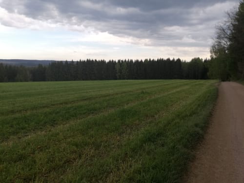 Zur Talsperre Stollberg über Bürgerwald