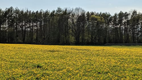 Rundweg Wolfsdorf - Blankensee