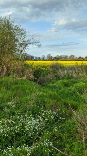 Rundweg Wolfsdorf - Blankensee
