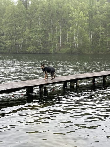 Rund um den Salemer See und Pipersee