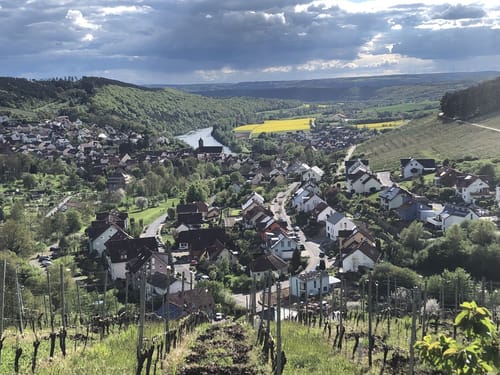 Im Wein bei Homburg