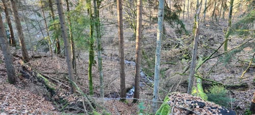 Biebergemuend1: Bieber – Die Bieberer Acht: Bergbau – Naturschutz