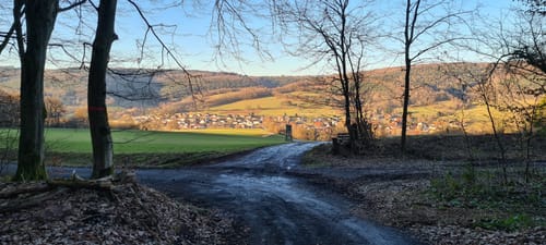 Spessart Biken - Wiesbütt-Schleife