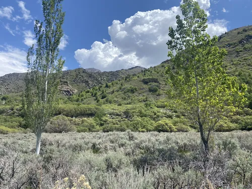 10 Best Trails and Hikes in Draper | AllTrails