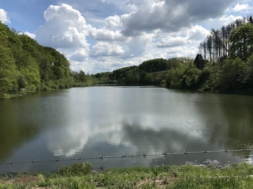 Rund um Bergisch Neukirchen