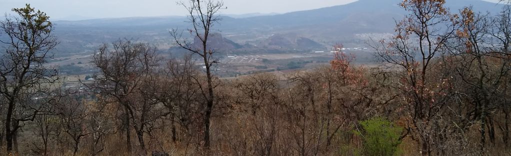 Cerro Del Águila, 10 Fotos - Michoacán, Mexico | AllTrails