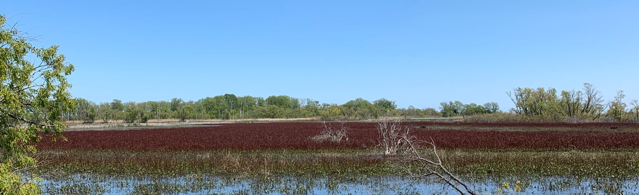 Crane Creek Estuary Trail to Ottawa National Wildlife Refuge, Ohio 27
