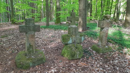 Rundwanderweg 4: Eulbach-Weg