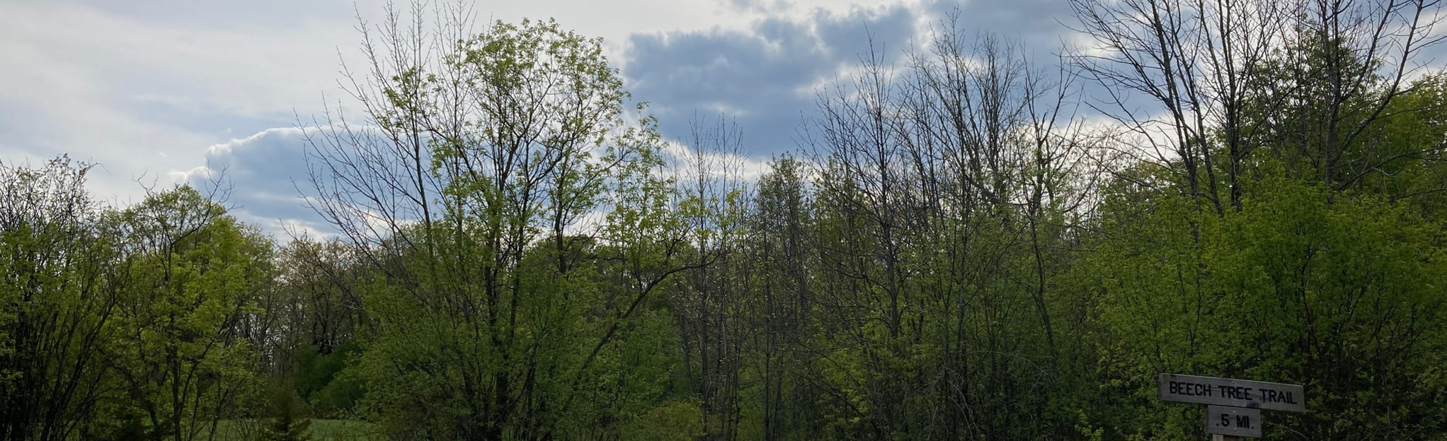 Ackerman's Grove Loop 20 Reviews, Map Wisconsin AllTrails