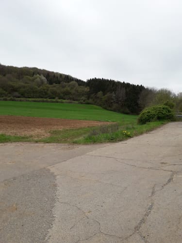 Naturpark Südeifel Wanderweg Nr. 76 - Bettingen