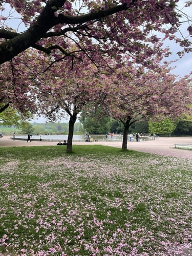Winterhude Stadtpark (Ostseite)