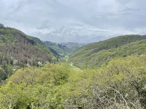 Kesseling - Staffel - Steinerberghaus