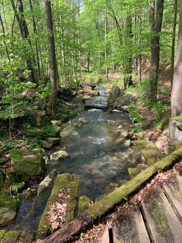 Muldentalwanderung
