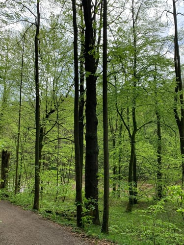 Muldentalwanderung