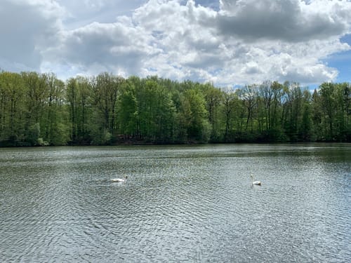Muldentalwanderung