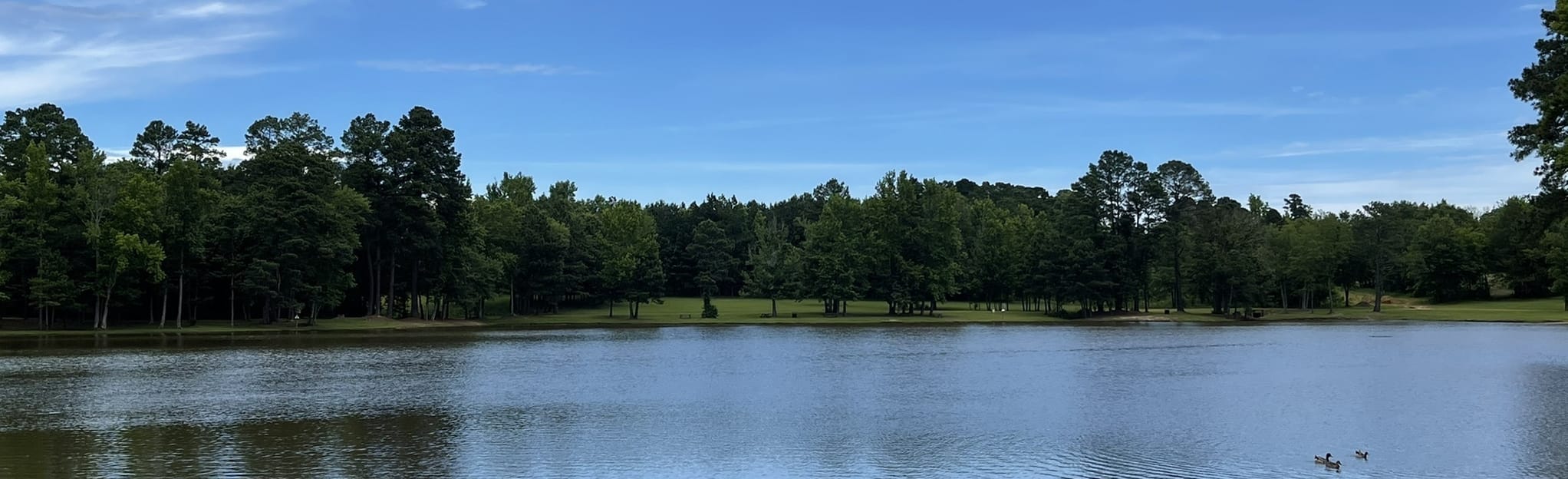 Williams Lake Loop 236 Reviews, Map Texas AllTrails