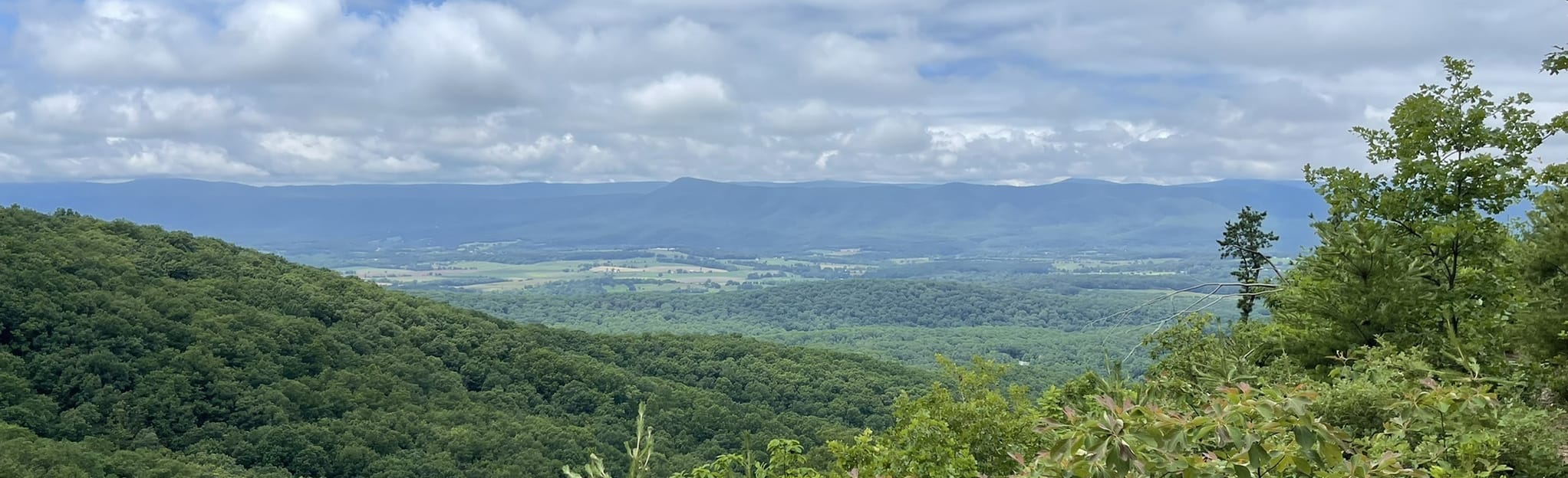 Jeremy's Run, Knob Mountain and Elkwallow Trail Loop 892 Fotos Virgínia AllTrails