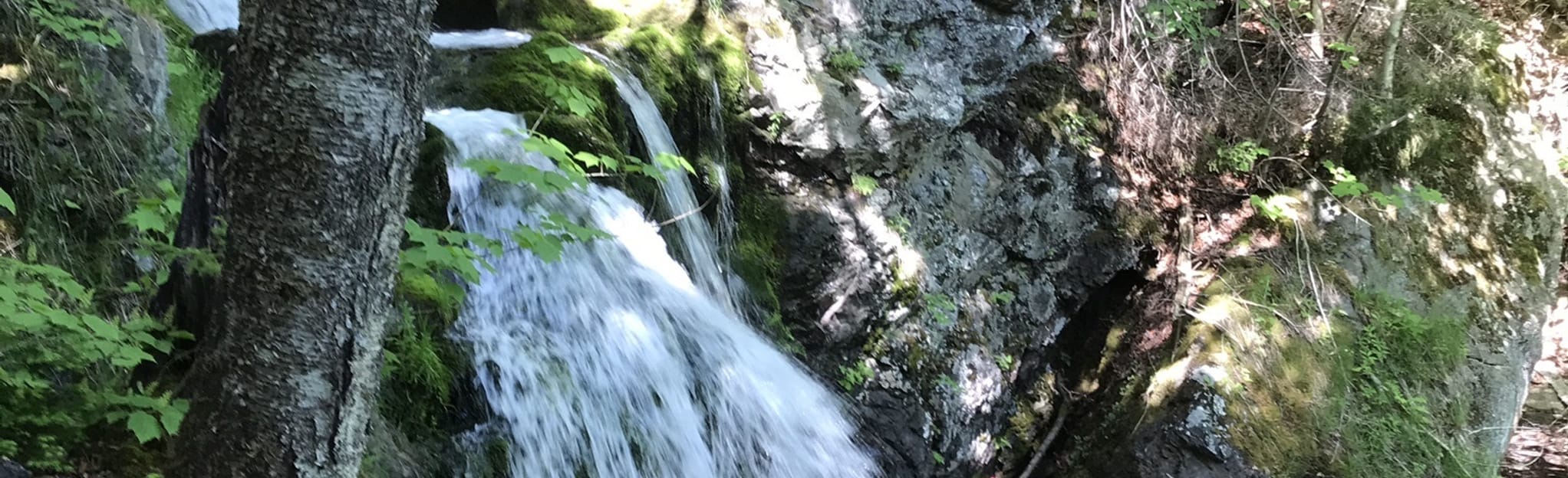 Spencer Brook Falls: 20 Reviews, Map - Nova Scotia, Canada | AllTrails