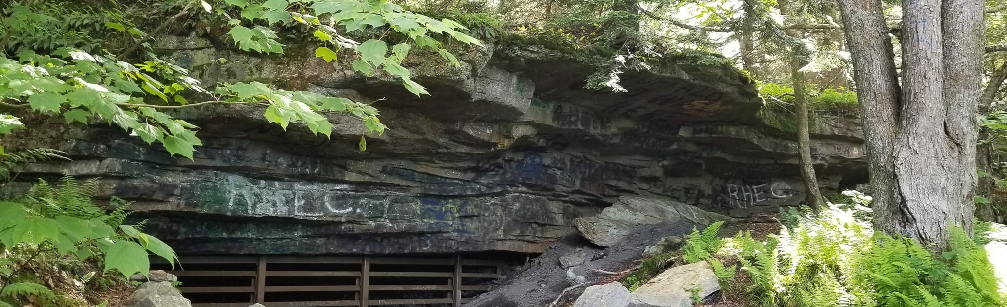 Coal Mine Road, Pennsylvania 17 Reviews, Map AllTrails
