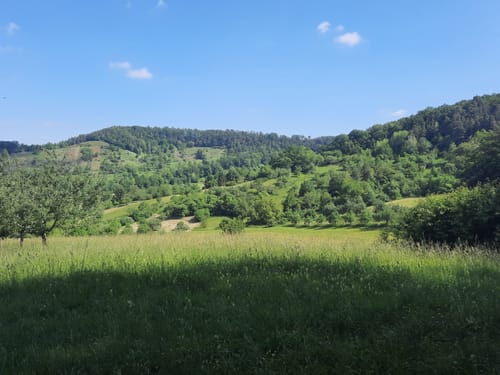 Ammerbucher Gigeleswegle (Premiumspazierwanderweg)