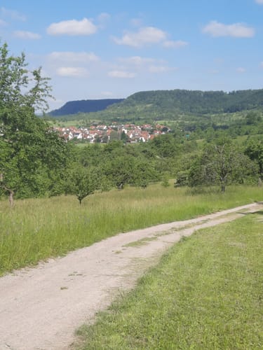 Ammerbucher Gigeleswegle (Premiumspazierwanderweg)