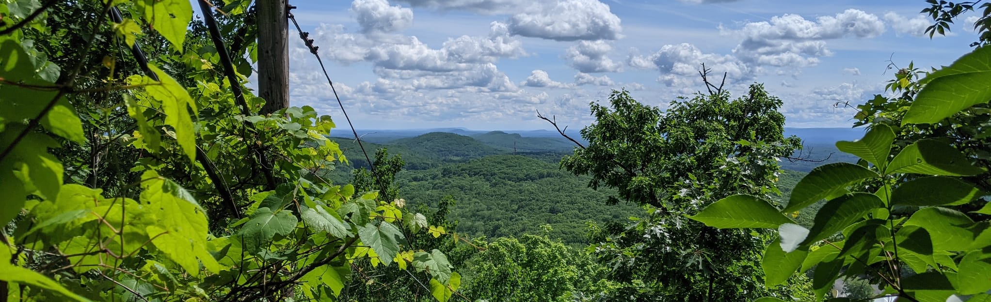 Mount Tom via Trail (Short Option), Massachusetts 158 Reviews, Map AllTrails