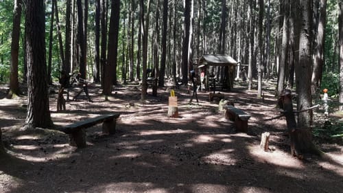 Märchenwaldrunde von Nantenbach