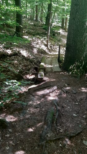 Märchenwaldrunde von Nantenbach