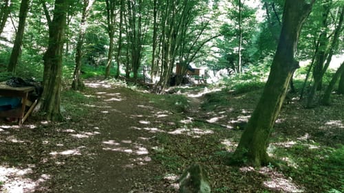 Märchenwaldrunde von Nantenbach