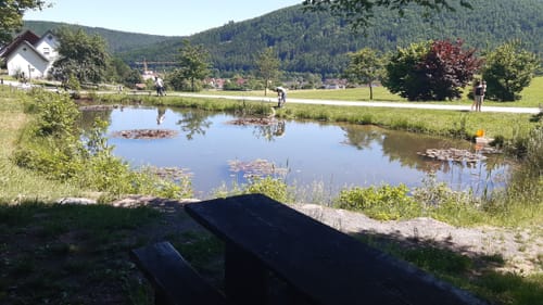 Märchenwaldrunde von Nantenbach