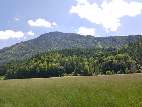 Staffel Rundweg
