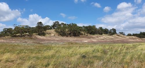 Von Dömitz zu den Dünen in Schmölen