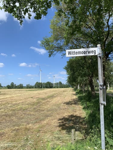 Blauer Rundweg Wittemoor