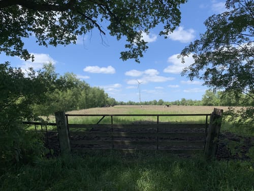 Blauer Rundweg Wittemoor