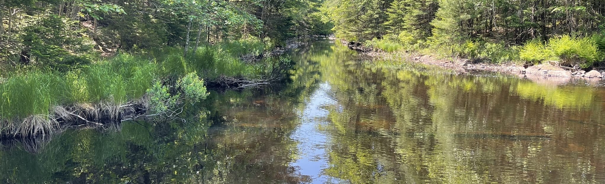 Miller Lake Falls, Nova Scotia, Canada 47 Reviews, Map AllTrails