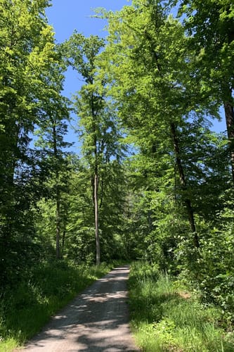 Warmbronn Runde