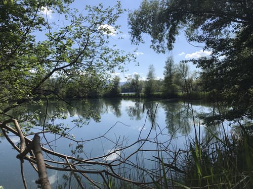Um den Happinger See