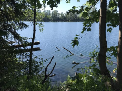 Um den Happinger See