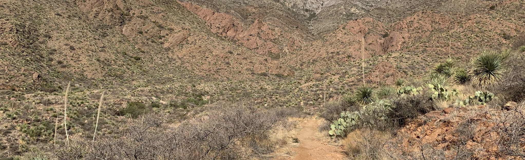 Tin Mines Extended Loop: 78 Reviews, Map - Texas | AllTrails