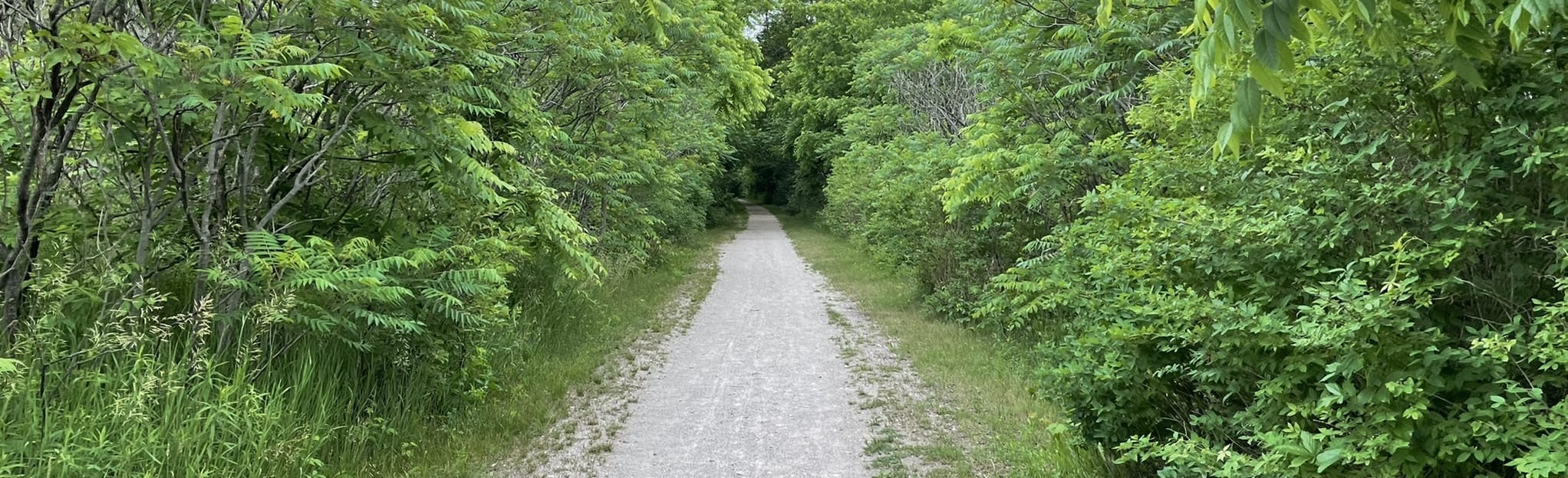 Brantford to Mount Pleasant Nature Park 111 Reviews, Map Ontario