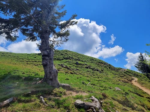 Stuiben Klettersteig
