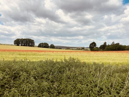 Töpferwanderweg