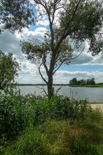 Schloss Frohburg und Naturschutzgebiet Eschefelder Teiche