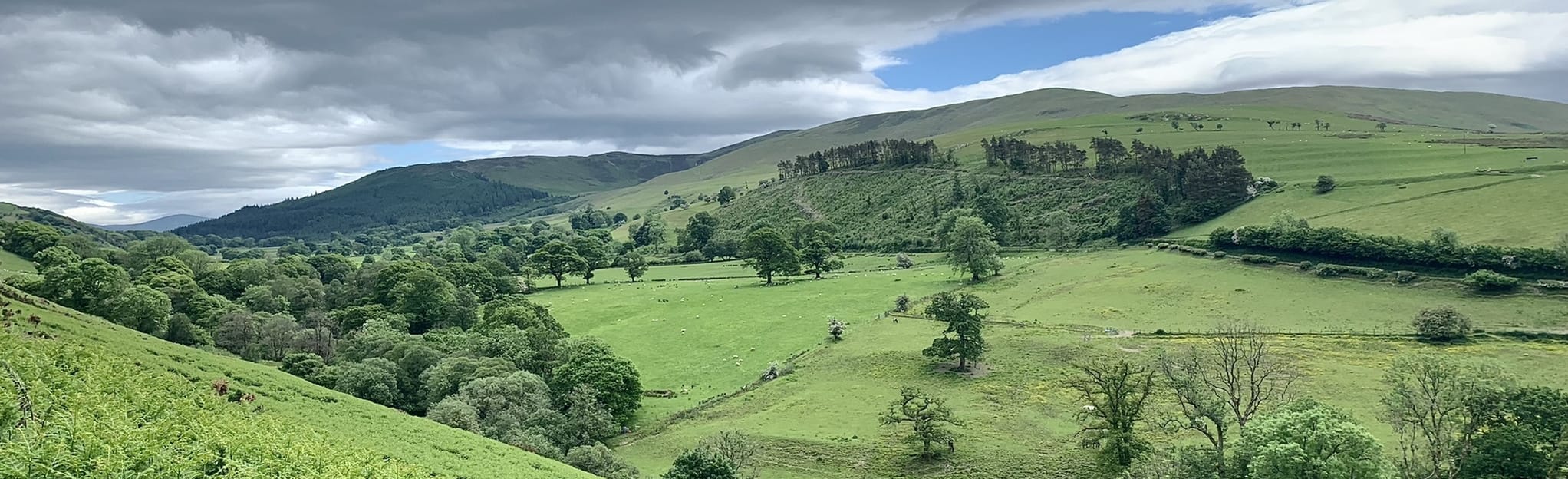Ling Fell and Sale Fell Loop Cumbria, England AllTrails
