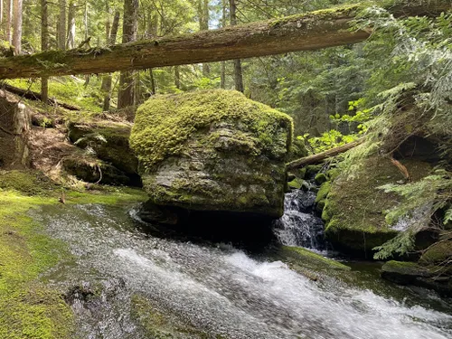 10 Best River Trails In Idaho Panhandle National Forest | AllTrails