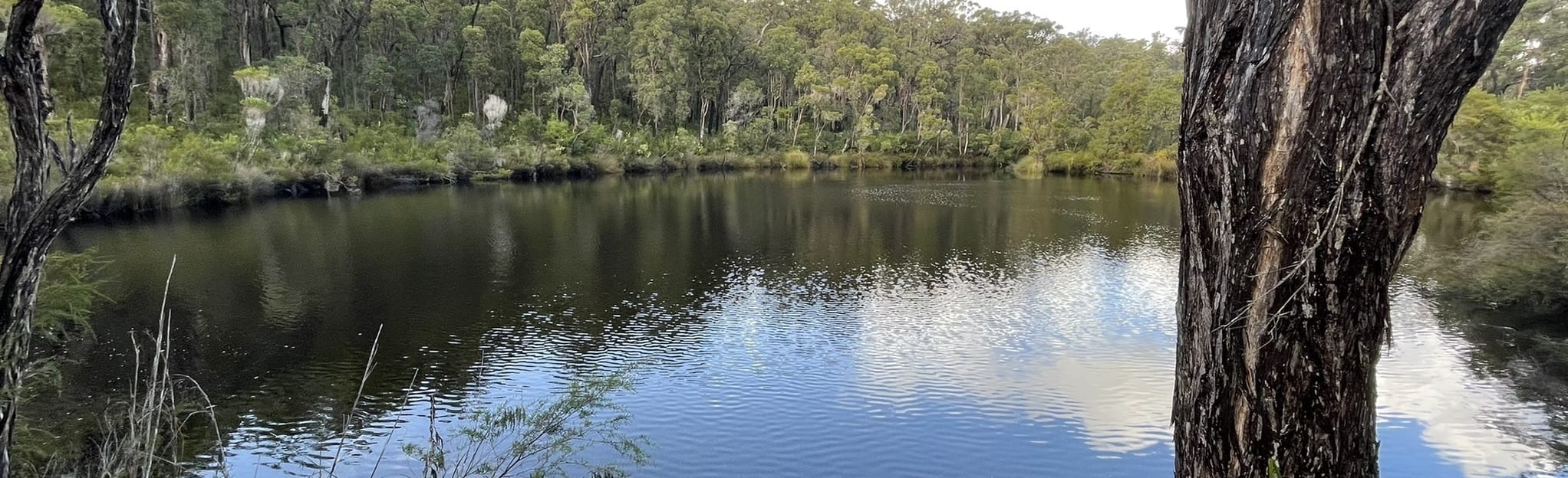 Fernbrook Falls and Rowell's Pool 13 foto's Western Australia