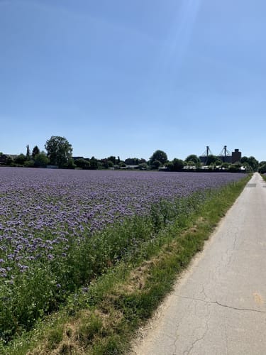 Obstbaumwiesen-Tour
