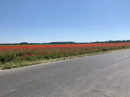 Obstbaumwiesen-Tour