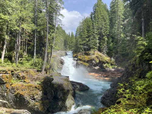 Paradise Falls, Pierce County, Washington - Northwest Waterfall Survey