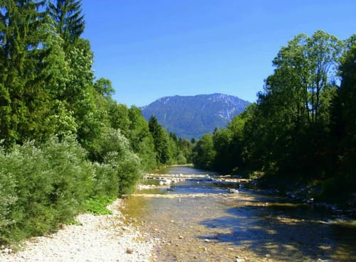 Märchenwald - Nesslauer Wasserfall